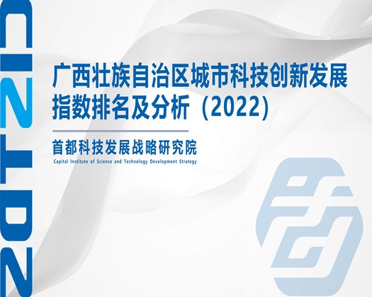 大骚逼导航【成果发布】广西壮族自治区城市科技创新发展指数排名及分析（2022）